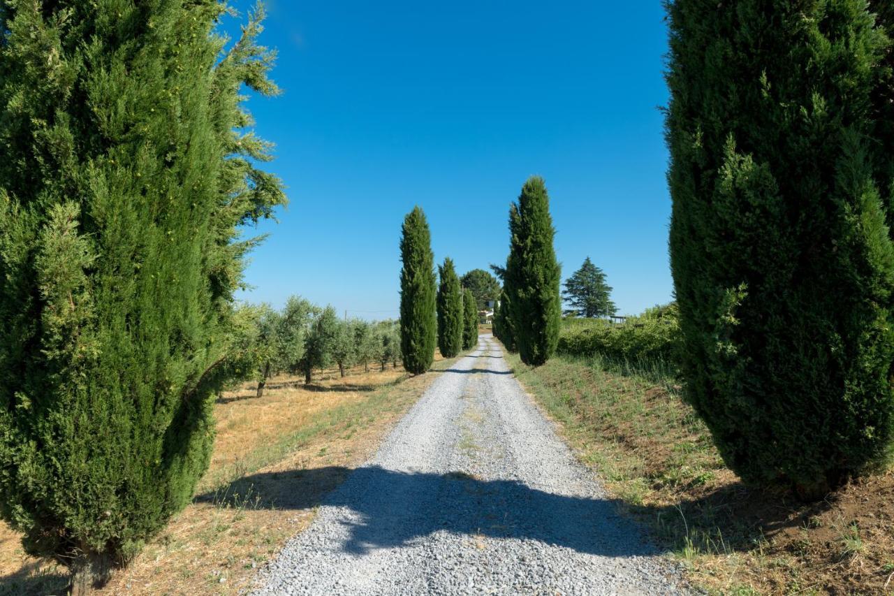 Il Raggio Di Sole Villa Bagnoregio Eksteriør bilde